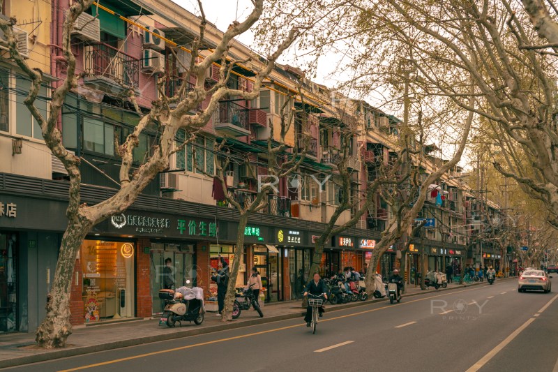 Street scene in a historic Shanghai neighborhood featuring plane trees, apartment balconies, local shops, and residents on scooters.