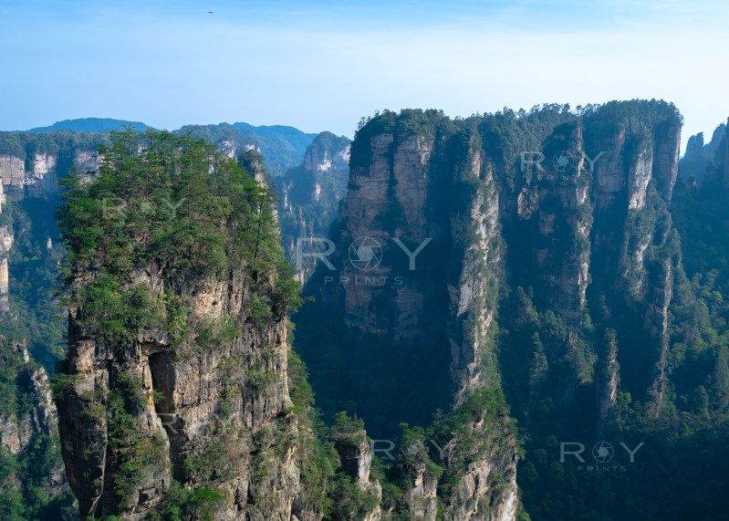 Dramatic sandstone pillars and misty peaks in Zhangjiajie National Forest Park.