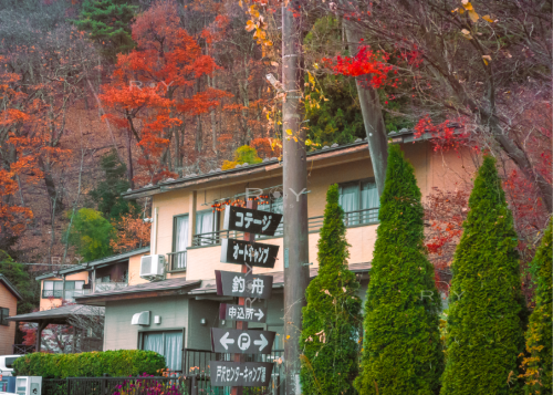Koyo at Yamanashi