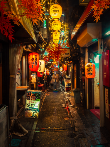 Omoide Yokocho